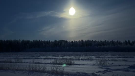 Northern forest landscape whose game is delivered to restaurants through the Willit system